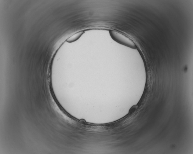 X0000115481387200912040942