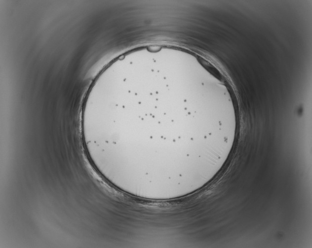 X0000115481388200912040942