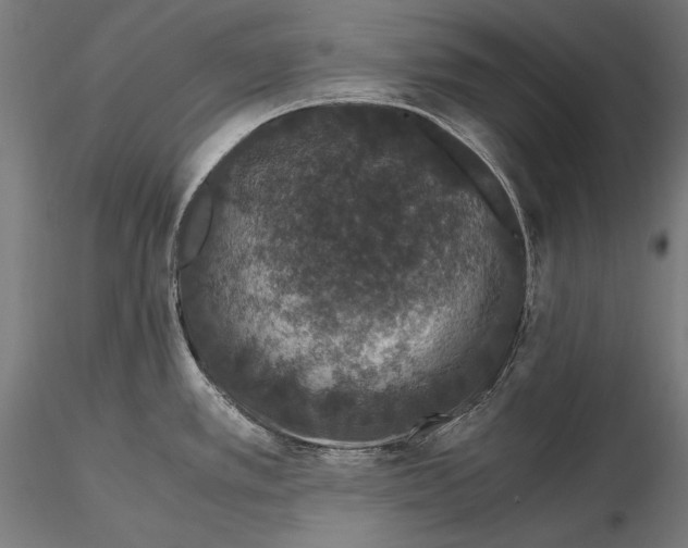 X0000115481389200912040942