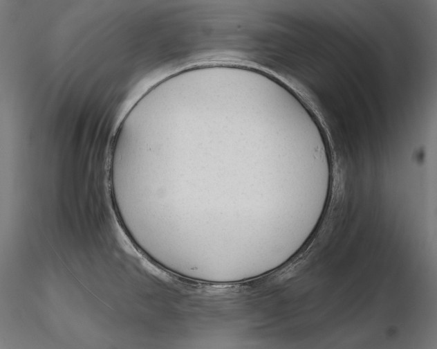 X0000115481390200912040942