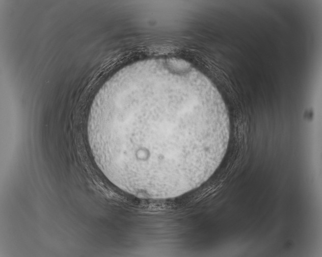 X0000115481393200912040941