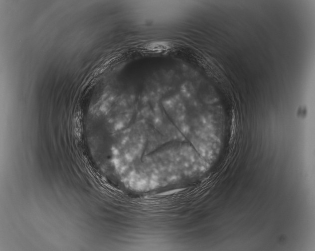 X0000115481394200912040941