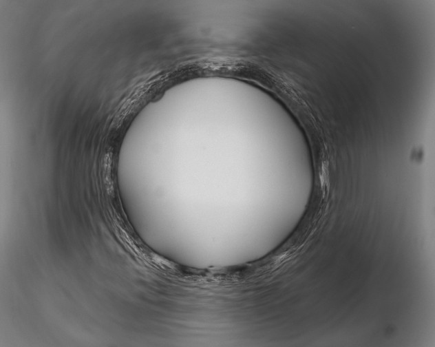 X0000115481396200912040941