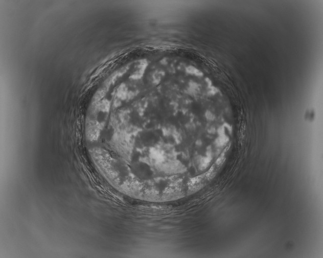 X0000115481397200912040941