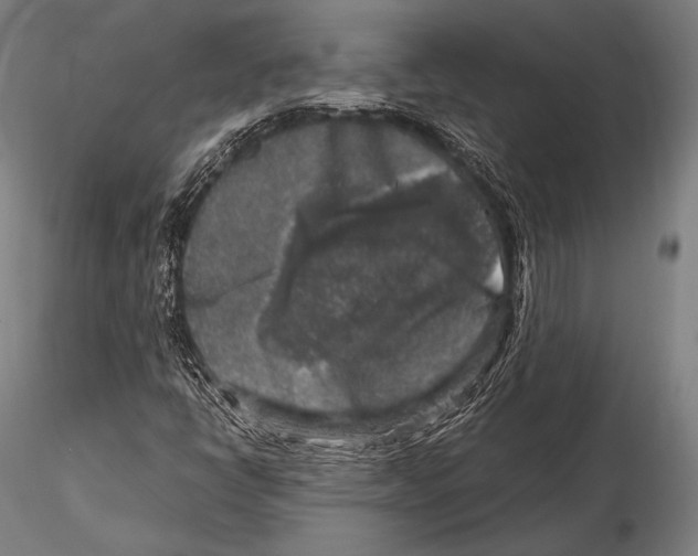 X0000115481398200912040941