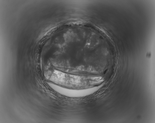 X0000115481399200912040941