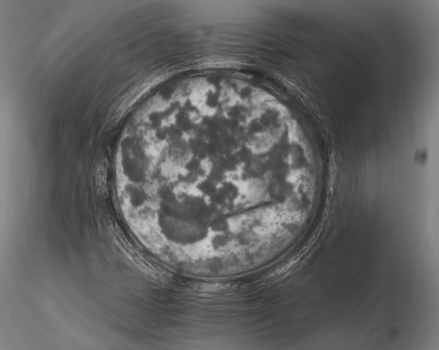 X0000115481401200912040941