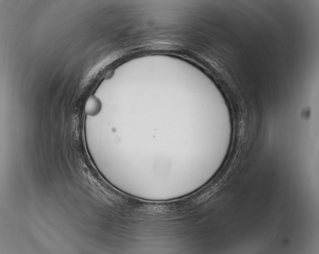 X0000115481402200912040941