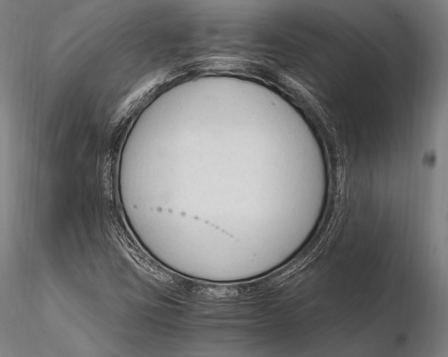 X0000115481403200912040941