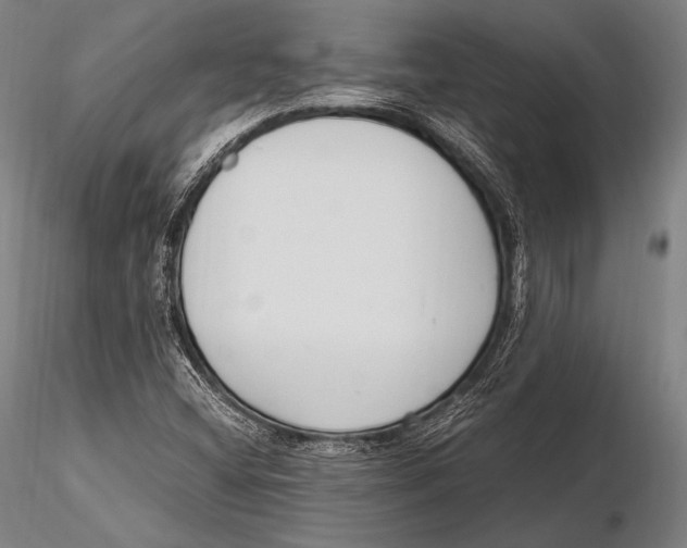 X0000115481404200912040941