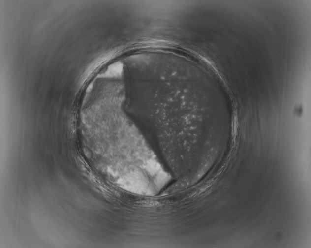 X0000115481405200912040941