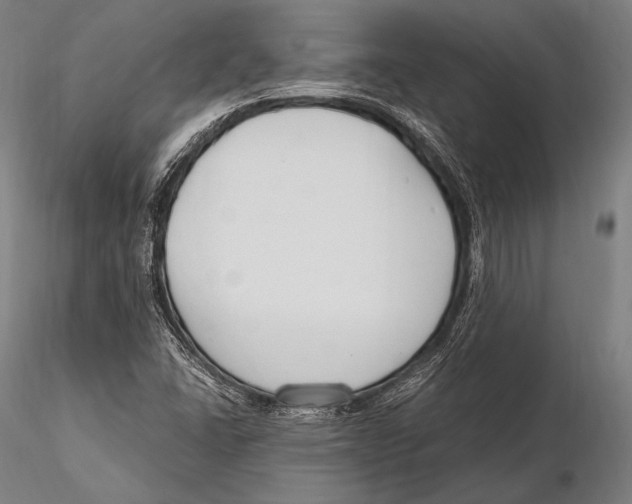 X0000115481406200912040941