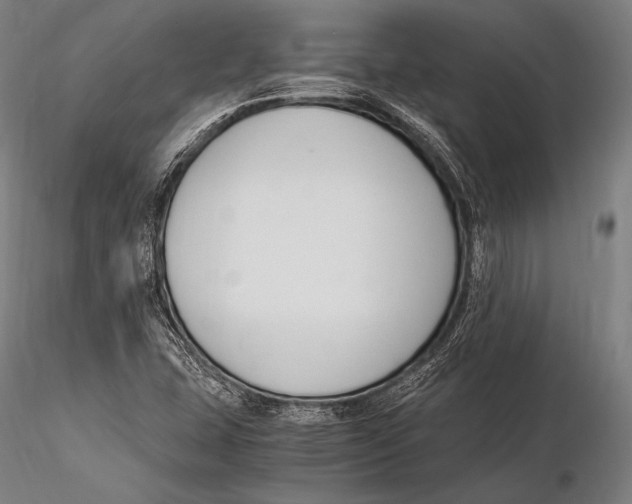 X0000115481407200912040941