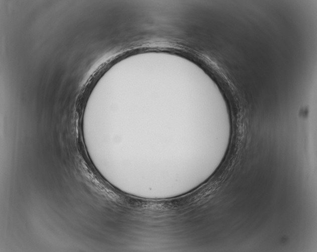 X0000115481408200912040941