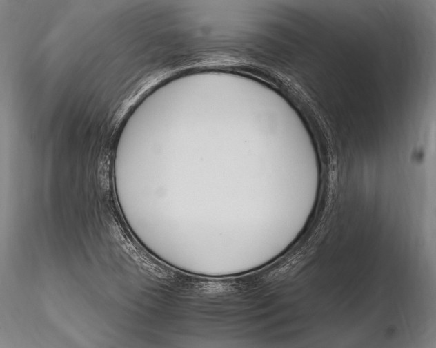 X0000115481409200912040942