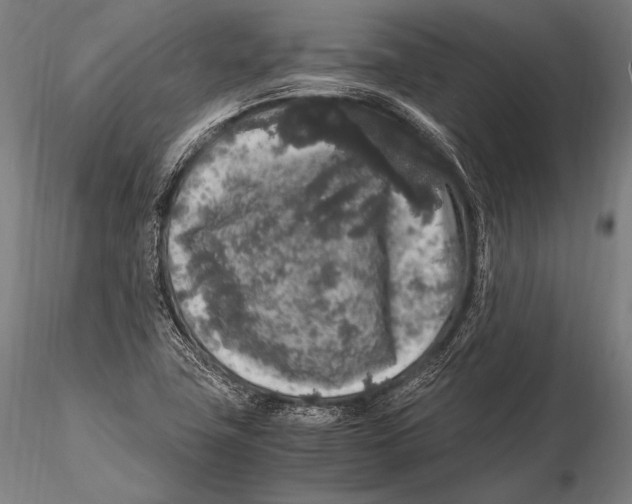 X0000115481411200912040942