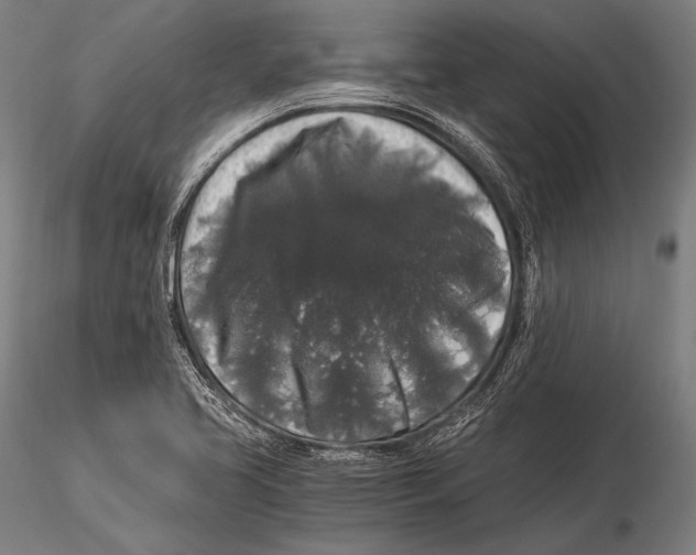 X0000115481413200912040942