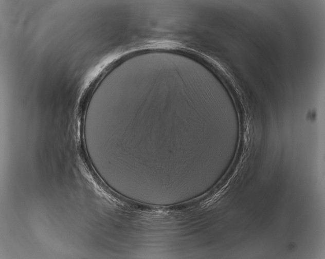 X0000115481414200912040942