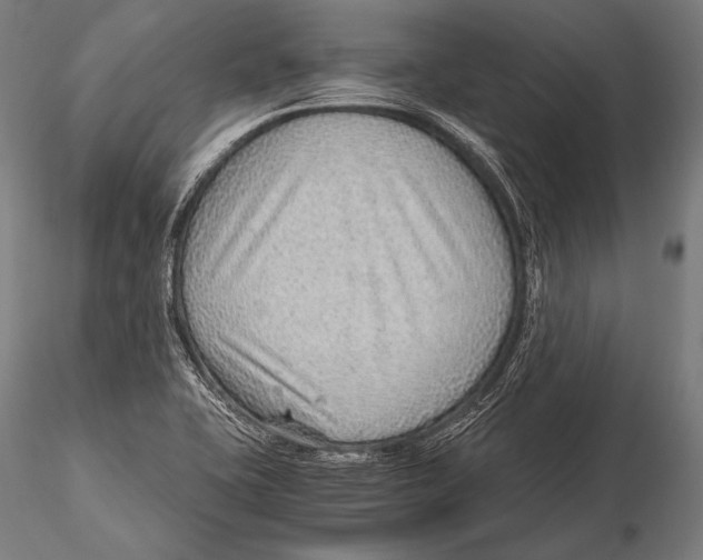 X0000115481415200912040942