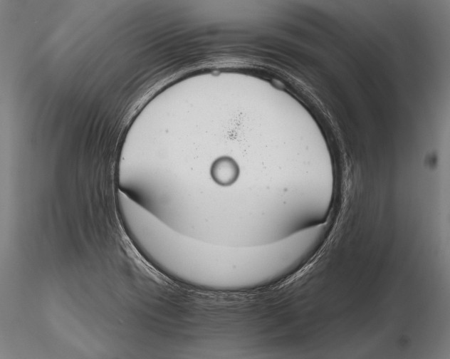 X0000115481417200912040942