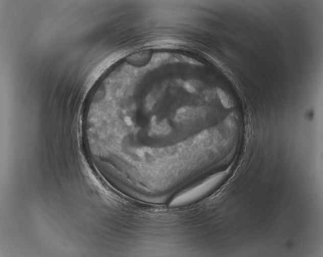 X0000115481418200912040942