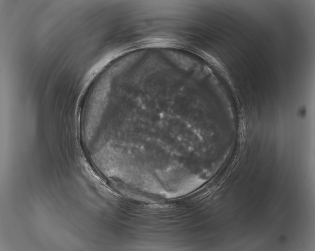 X0000115481419200912040942