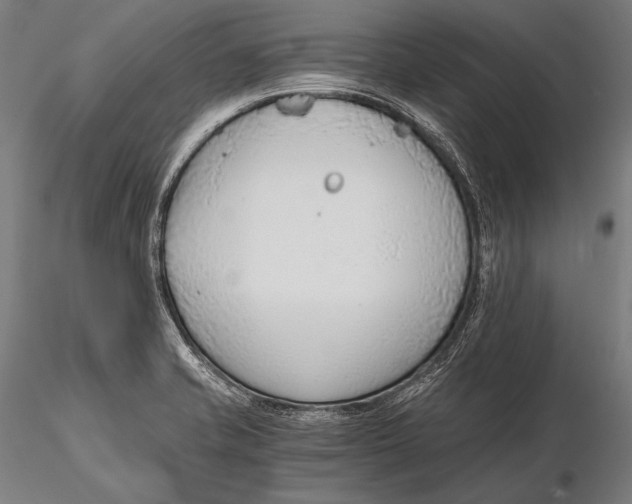 X0000115481421200912040942