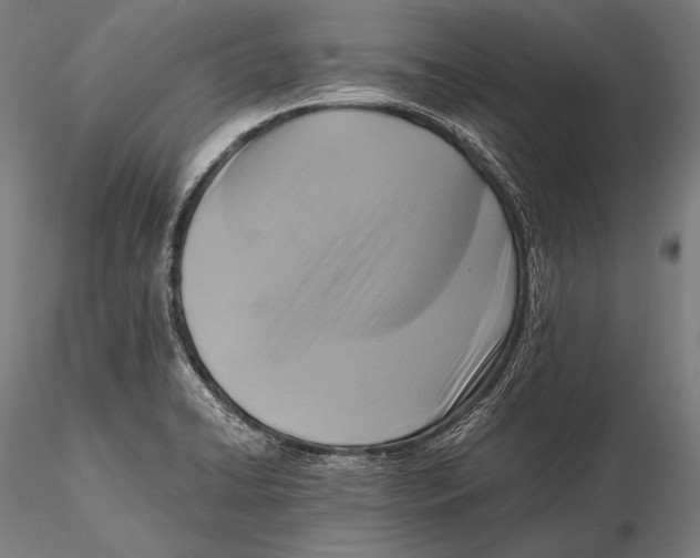 X0000115481422200912040942