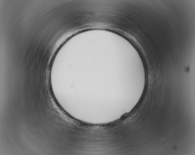 X0000115481424200912040942