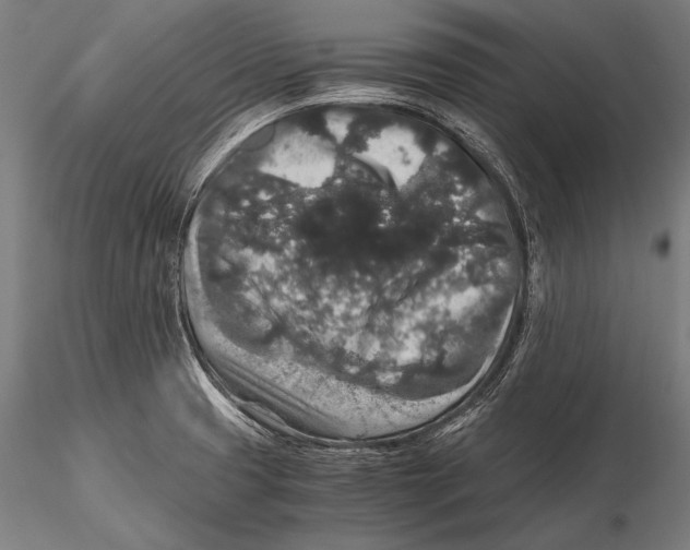 X0000115481425200912040942