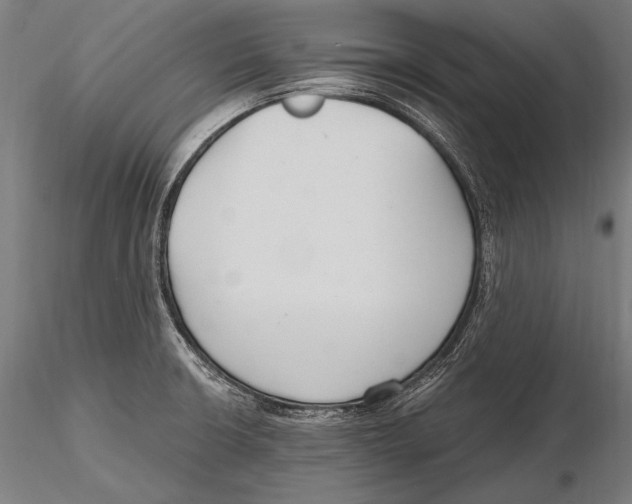 X0000115481426200912040942