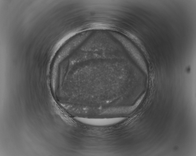 X0000115481427200912040942