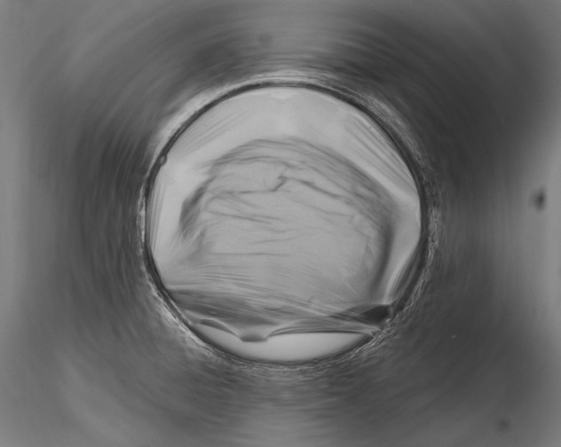 X0000115481428200912040942