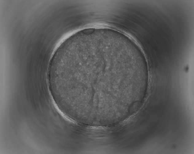 X0000115481429200912040942