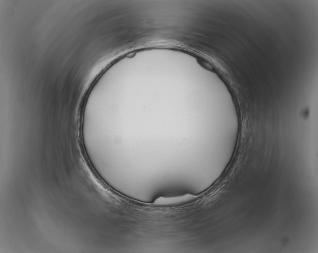 X0000115481430200912040942