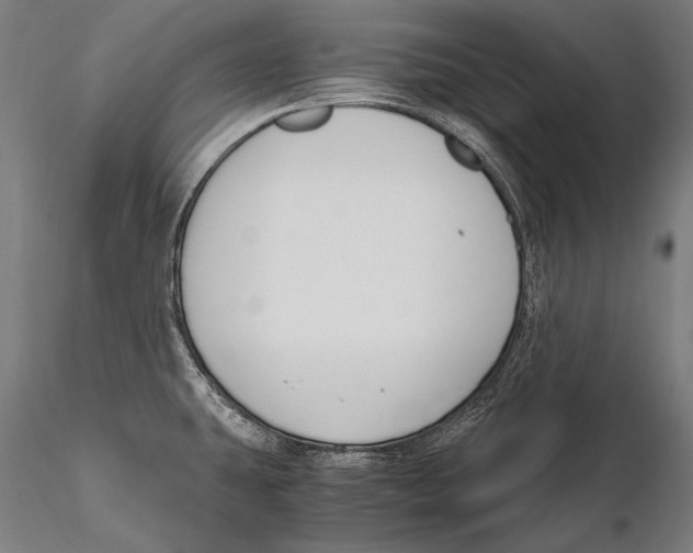 X0000115481431200912040942