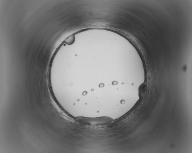 X0000115481432200912040942