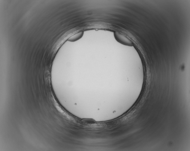 X0000115481433200912040942