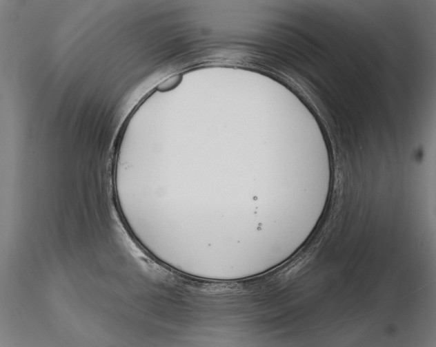 X0000115481434200912040942