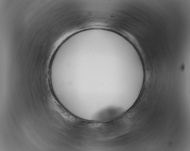 X0000115481435200912040942