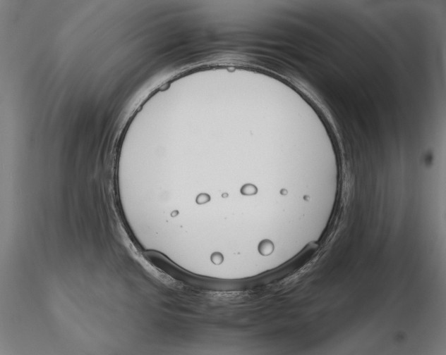 X0000115481437200912040942