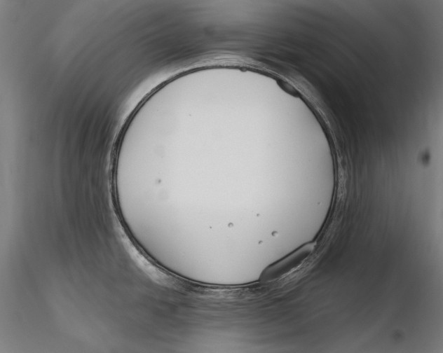 X0000115481438200912040942