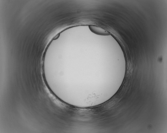 X0000115481439200912040942