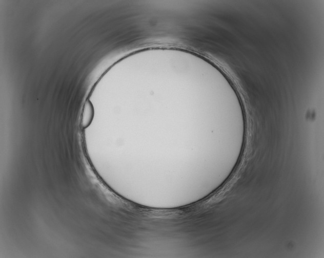 X0000115481440200912040942