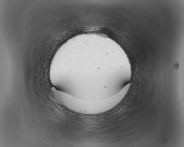 X0000115481441200912040941