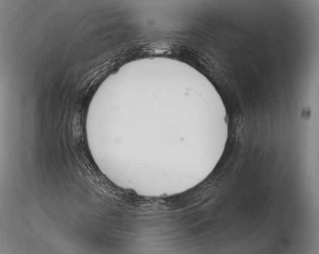 X0000115481442200912040941