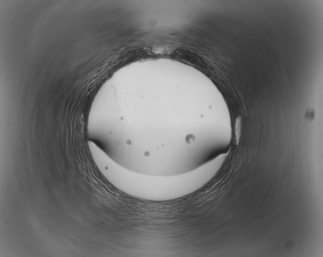 X0000115481443200912040941