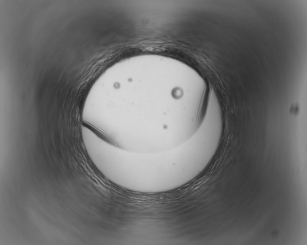 X0000115481444200912040941