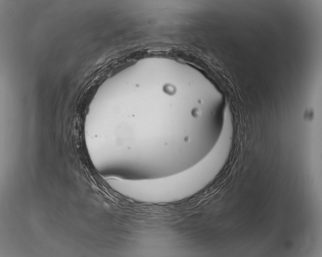 X0000115481445200912040941