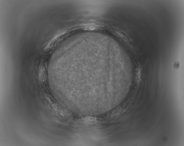 X0000115481446200912040941